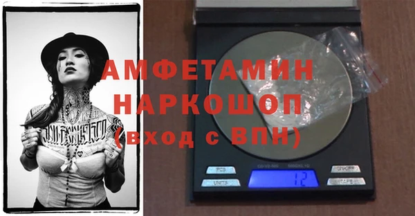 молекула духа Карпинск