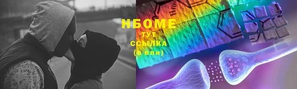 молекула духа Карпинск
