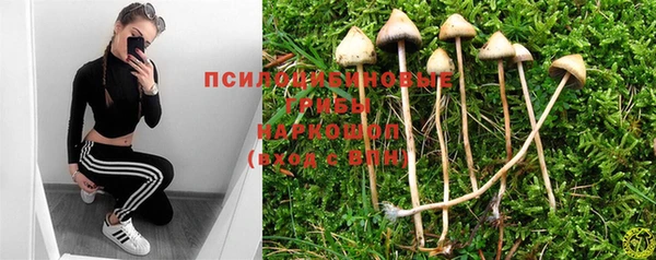 прущие крисы Касимов