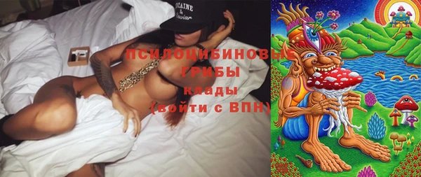 молекула духа Карпинск