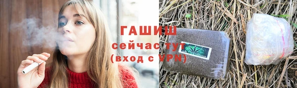 молекула духа Карпинск